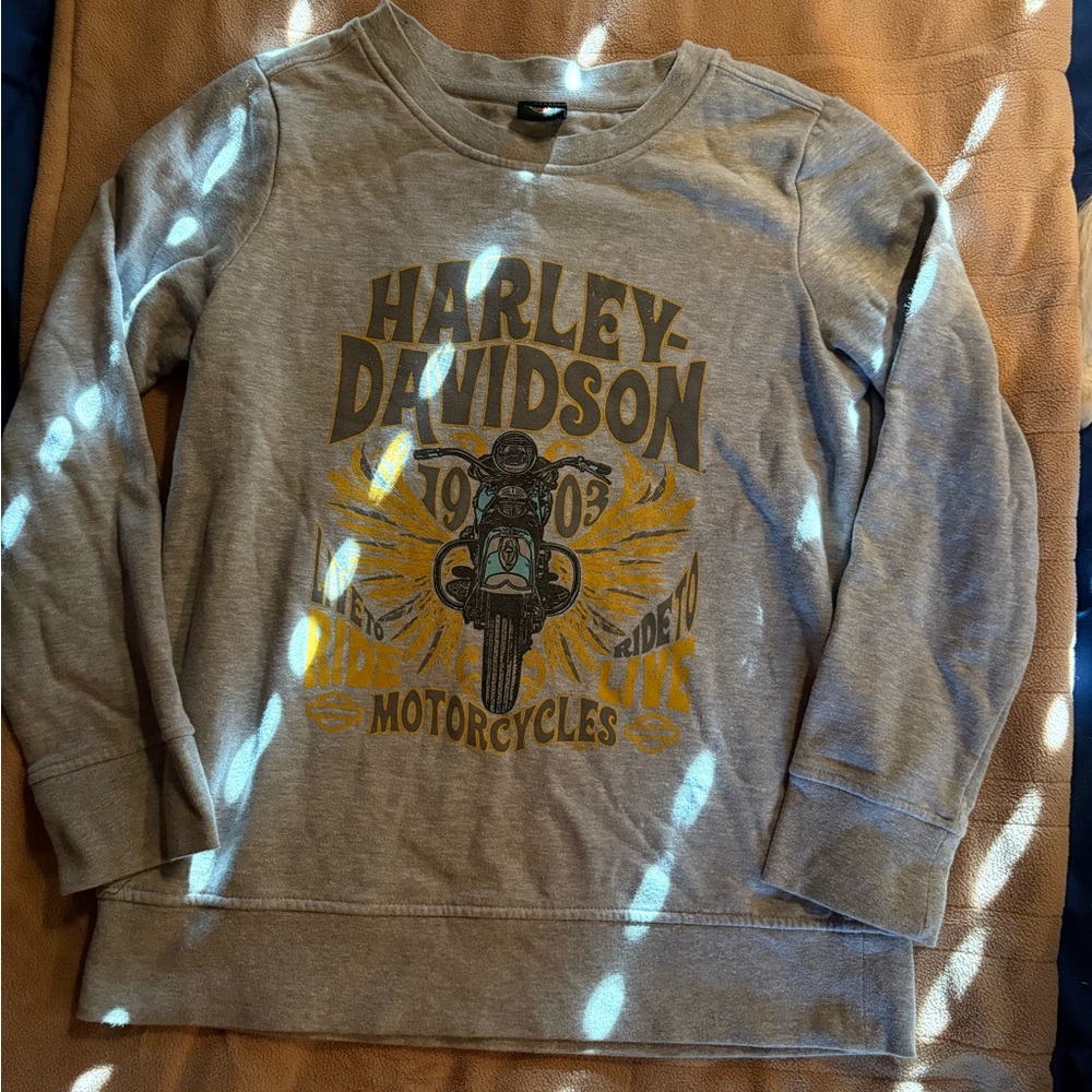 Harley-Davidson Gray Long Sleeve sweatshirt